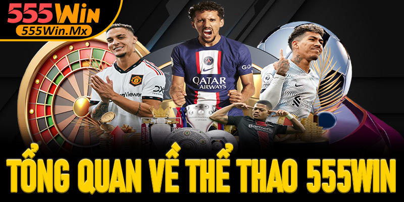 Tổng quan về thể thao 555win