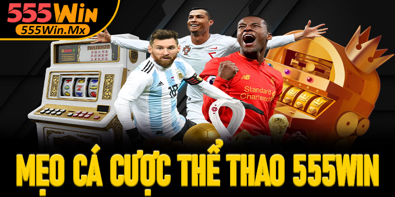 Mẹo cá cược thể thao 555win cực hiệu quả dành cho người chơi mới